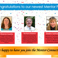 Congratulations to the 2020 Mentor Fellows